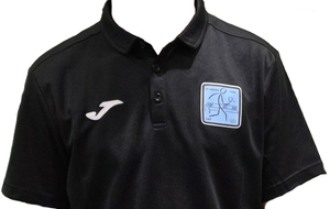 Nouvelles Tenues à St Amand Ping